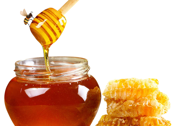 miel-sogeabeilles